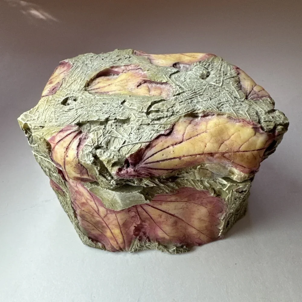 Trinket Box-Leaf Impression Texture,‎ Two-Tone Hexagon Form.